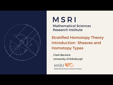 CIME #2 Stratified Homotopy Theory