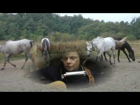 Meryold   Šest bílých koní