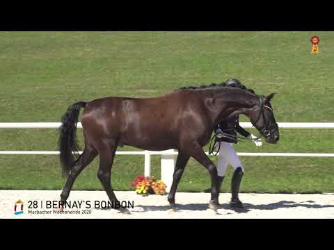 28 Bernays Bonbon v. Bernay - Lanciano  *MARBACHER WOCHENENDE 2020*