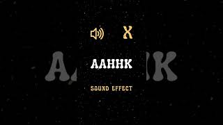 Download lagu Aahhk Sound Effect #soundeffects #funny mp3 Download lagu Aahhk Sound Effect #soundeffects #funny mp3