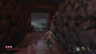 ［SEKIRO］肆週目プレイ　竜の帰郷エンドを目指して。