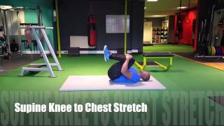 Personal Trainer Leeds: Lower Back Mobility Workout