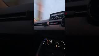 Painters and Dockers live Bad Mentone Hotel 1989