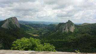 "Le cafard " essais Murat