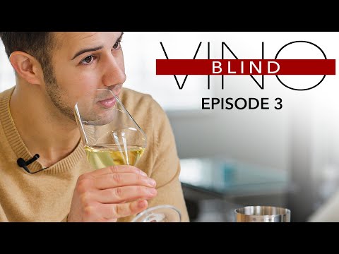 Can He GUESS THE WINE? Tough Blind Tasting CHALLENGE w/TV Host and Sommelier!