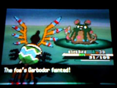 Pokemon Black Walkthrough Part 45- Route 9 with an Evolution