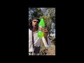 Coca Cola Vs Mountain Dew Burp Meme