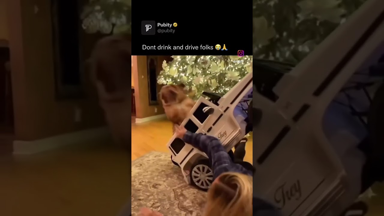 Doggy Dogg’n the Off Road! 🤦🏿‍♂️😂