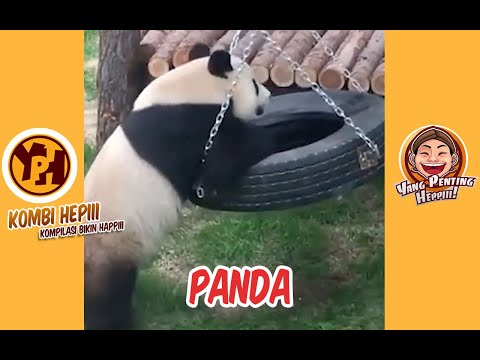 kombi-heppiii-panda-1