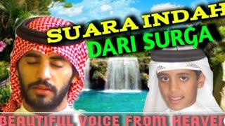 Download lagu Ohhh ternyata ini biografy Taha Al Junaid (qori' kecil yg bersuara merdu) mp3
