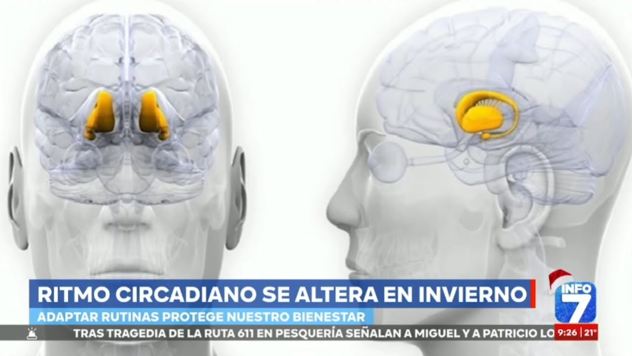 Junípero Méndez Martínez-13