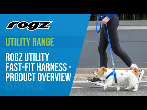 Rogz petnešos atšvaitas šuniui Fast-Fit Reflective SJQ63AA (plotis 2cm; apimtis 63cm) video