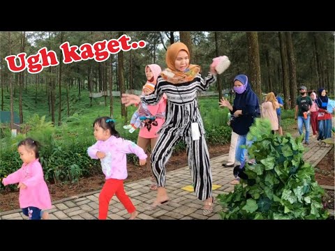 orang-latah-dikageti-bushman-prank-prank-manusia-pohon