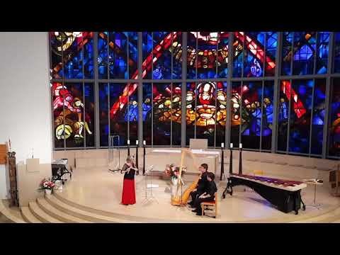 [Concert] Anne de Boysson - METAMORPHOSE played by Elisabeth Möst & Christoph Bielefeld - 3rd mvmt