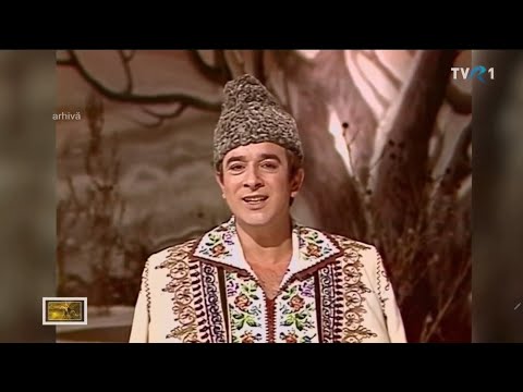 Nelul Bălășoiu ♦️ Stau pe malul Blahniței 🌱