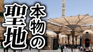【Vlog】サウジアラビアのジェッダとメディナを観光してきたよ