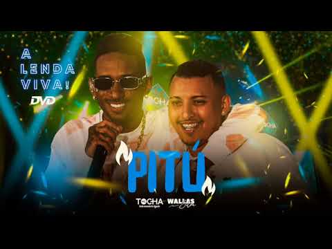 @McTocha - Wallas Silva - Dose De Pitu