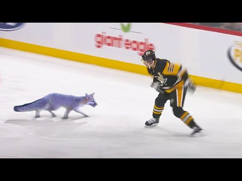 Hockey "RARE" Moments