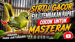 Download lagu Sirtu gacor full isian/tembakan Rapat,ampuh untuk masteran sirtu bahan/muda hutan. mp3 Download lagu Sirtu gacor full isian/tembakan Rapat,ampuh untuk masteran sirtu bahan/muda hutan. mp3