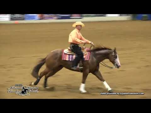 Special Nite Rider shown by Austin Lee Roush   2020 NRBC FINALS   Open Classic, Sec  1