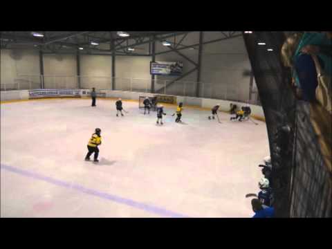 Saipa D02 Jusut vs Silver Lions 3rd period cont