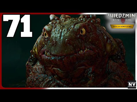 Odc. 71 | Zagrajmy w Wiedźmin 3 Edycja Kompletna | Miłego złego początek / Żaba w kanałach