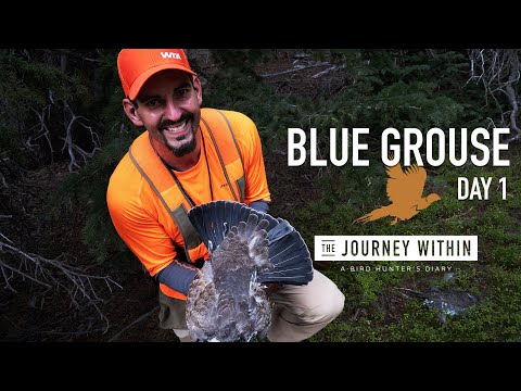 Blue Grouse, Wyoming Day 1:  The Journey Within - A Bird Hunter's Diary | Mark V Peterson