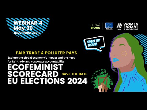 The EU Elections - Ecofeminist Scorecard Webinar nr 4: Polluters Pay!