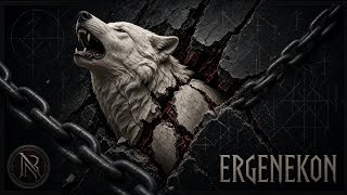 Cover art for Ergenekon
