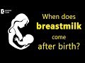 How Long Does It Take To Produce Breast Milk After Birth Dr Sangeeta Gomes