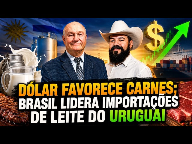 Pecuária: Dólar favorece carnes; Brasil lidera importações de leite do Uruguai.