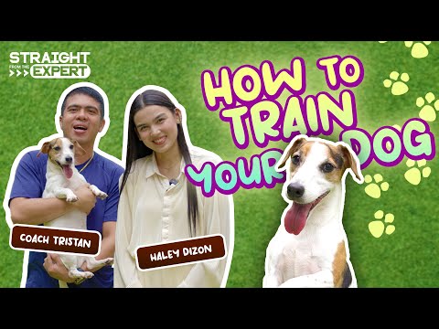 Straight from the Expert: How to Train Your Dog (Part 1)