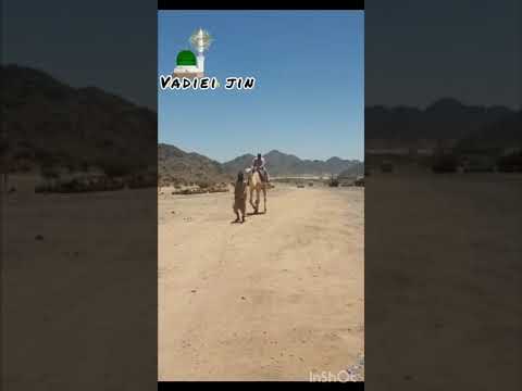 Obaidullah is taking Camel Ride in Madina.