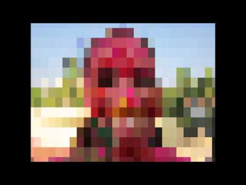 HAPPY BIRTHDAY SHIBU