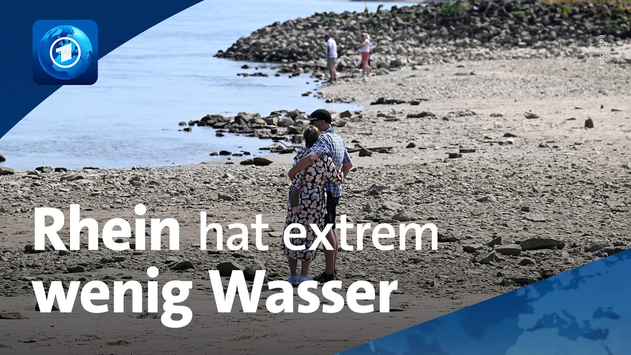 Schifffahrt auf dem Trockenen: Rhein hat in Köln so wenig Wasser wie nie zuvor