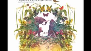 [dunkelbunt] Raindrops & Elephants (Full Album)