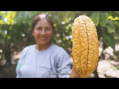 Qori Warmi – Women-led Cocoa Cooperative in Peru