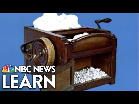 Eli Whitney's Invention