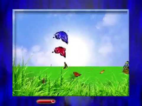 Video 2