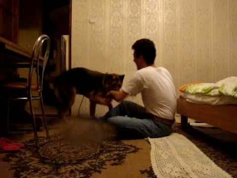 Lost na Russia - Kaliningrad 2008