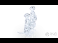Swarovski Crystal Meerkats