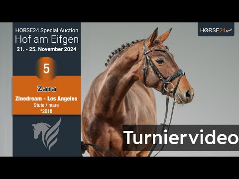 H24 Special Auction Hof am Eifgen Nr. 5 Zara *2018 Stute v. Zinedream - Los Angeles