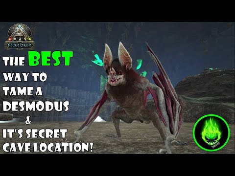 The Terrifying Taming Of The DESMODUS!