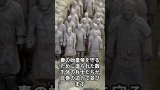 楊貴妃ゆかりの華清宮から世界遺産・兵馬俑へ
