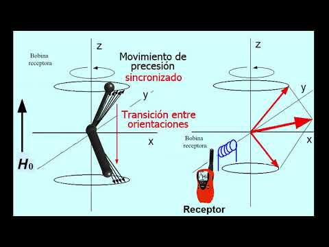 ¿El Fundamento de la RMN? Pero si es muy fácil. Aprende RMN conmigo