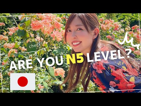 4. If you understand this, you are JLPT N5 level!