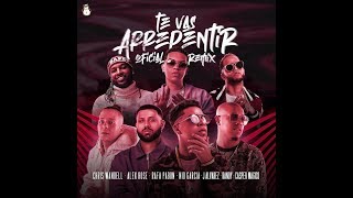 Chris Wandell Ft Randy, Alex Rose, Nio Garcia J Alvarez - Te Vas A Arrepentir Remix (Preview)