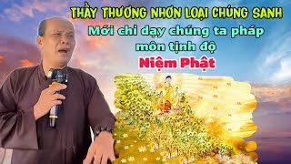 Chú bảy thiện thầy gì thương nhơn loại chúng sanh mới dạy chúng ta pháp môn tịnh độ niệm phật