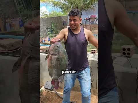 Чем всем не угодила эта рыбка?