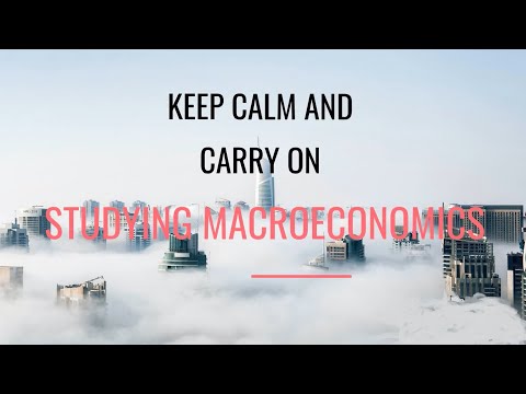 The Bellman Equation and the Contraction Mapping Theorem